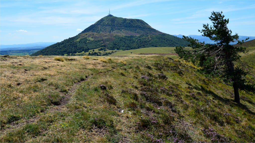 Peaceful mountain view with grassy hills and a solitary tree under clear blue skies.